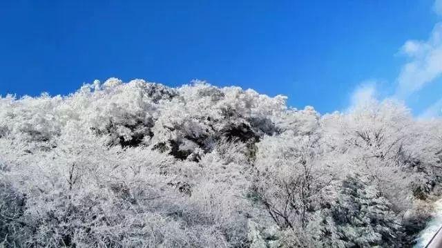 帅哥那地方痒，说吃辣椒可以消毒，黑老大建议他用辣椒外敷