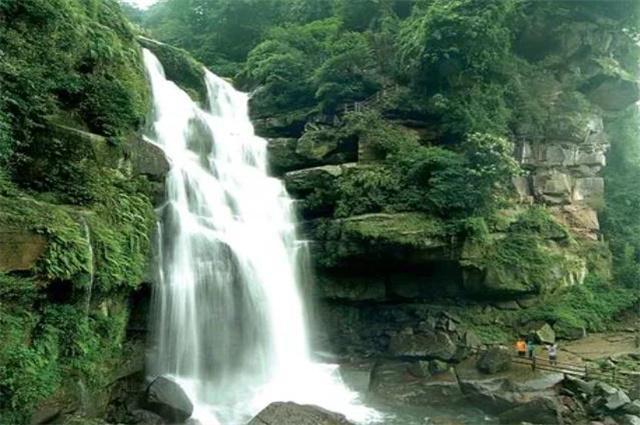 甘肃欲借“前店后厂”模式促中医药产业国际化