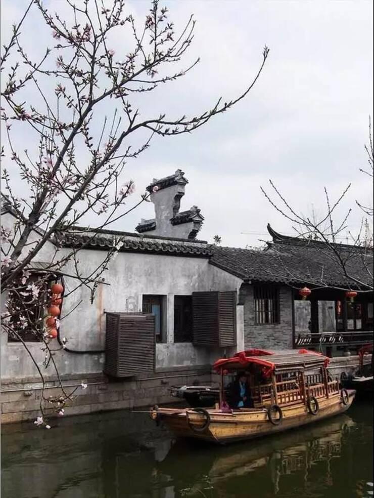 网球运动员营救